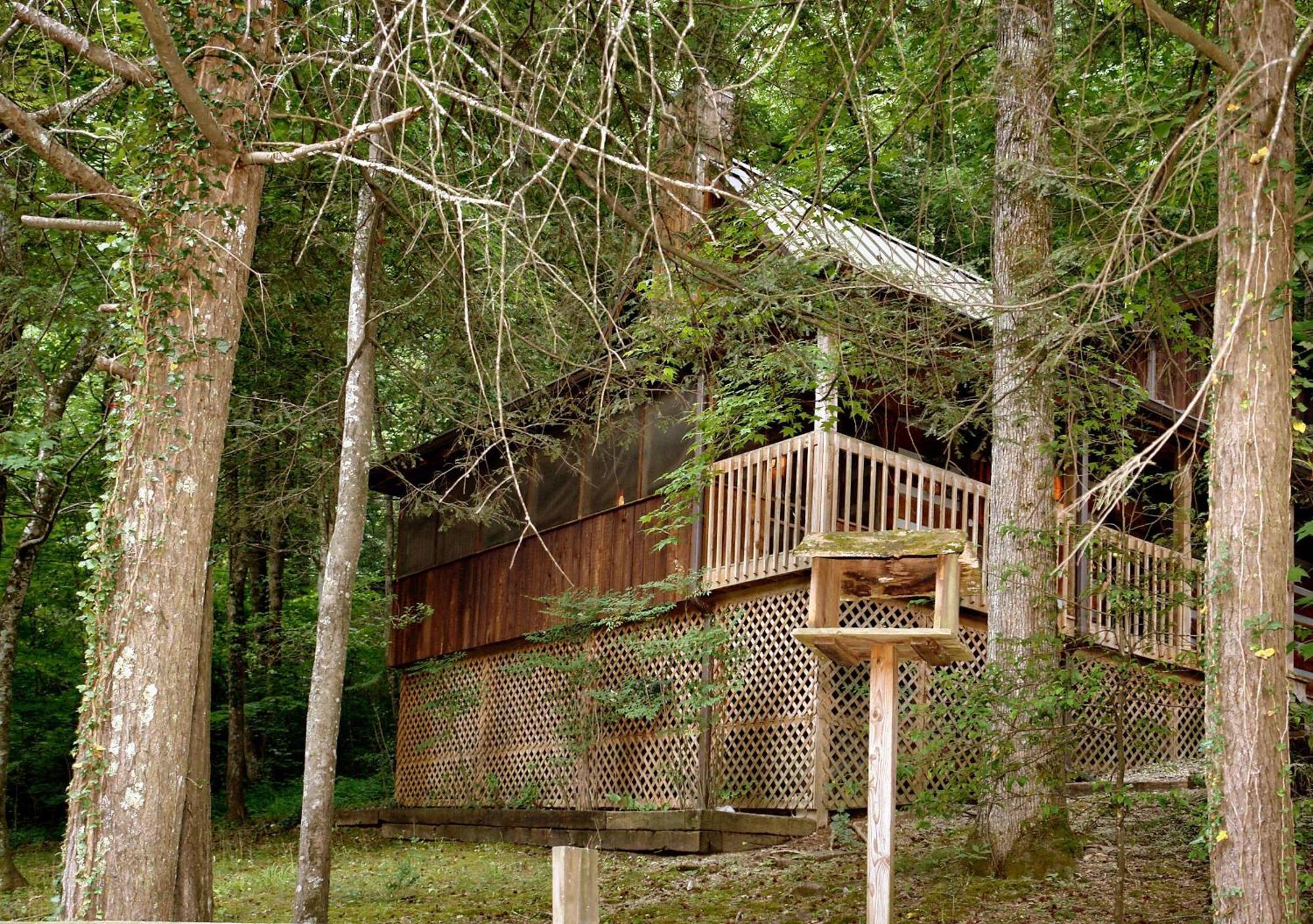 Parkside Party #1676 Villa Gatlinburg Eksteriør bilde